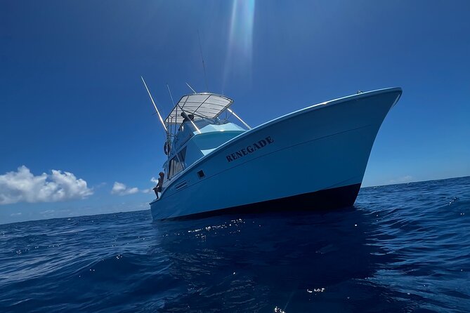 Deep Sea Shared Fishing Charter in Honolulu - How active is the fishing?