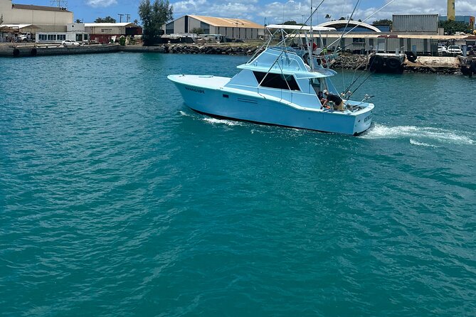 Deep Sea Shared Fishing Charter in Honolulu - Rough water, long waits, and motion sickness