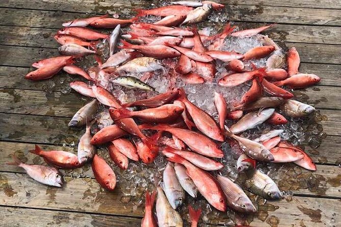 Destin: Party and Walk-On Fishing trip - The crew makes the biggest difference