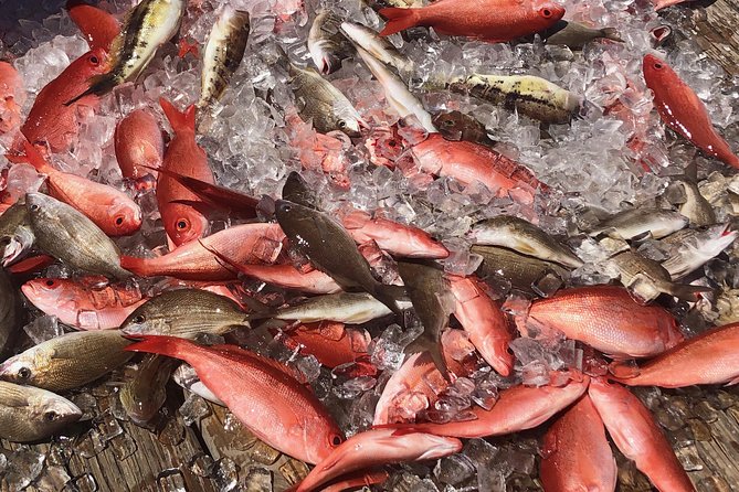 Destin: Party and Walk-On Fishing trip - Weather, sea conditions, and schedule risk
