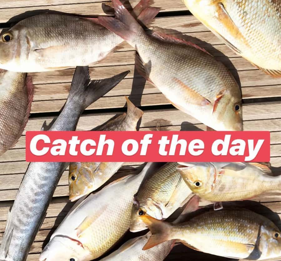 Dubai: 4-Hour Private Deep Sea/Trolling Fishing Trip - What is included, and what you still need