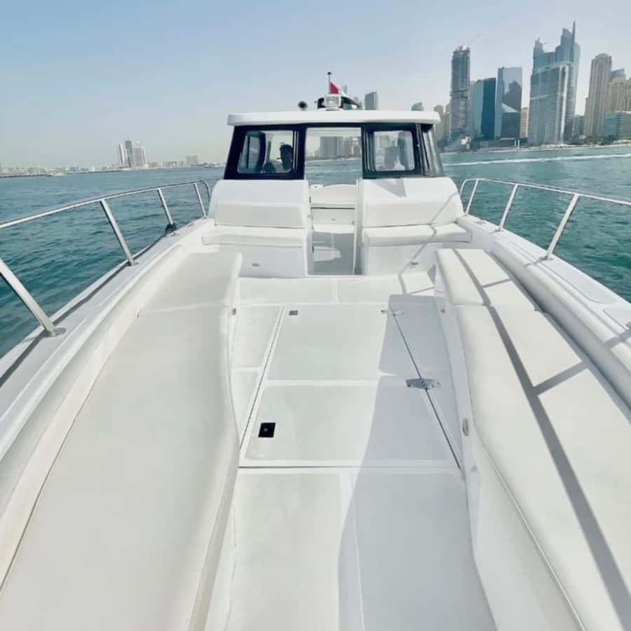 Dubai:Best Fishing Trip-4Hours - Key points at a glance