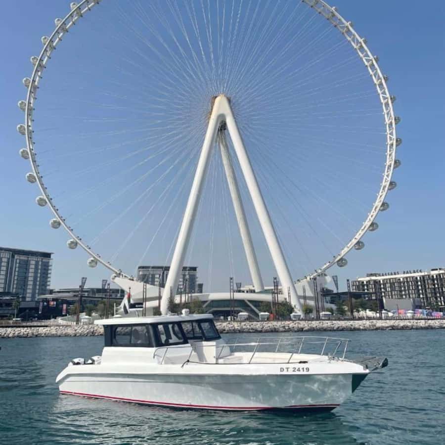 Dubai:Best Fishing Trip-4Hours - Setting out from Dubai Marina Walk