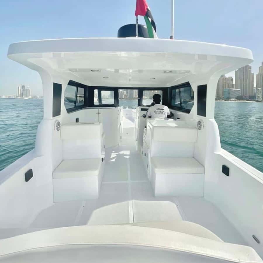 Dubai:Best Fishing Trip-4Hours - Comfort, drinks, and the barefoot boat rule