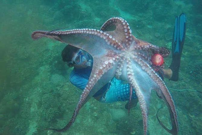 East Bali Spear Or Line Fishing Tour At Virgin Beach - What makes this fishing day special