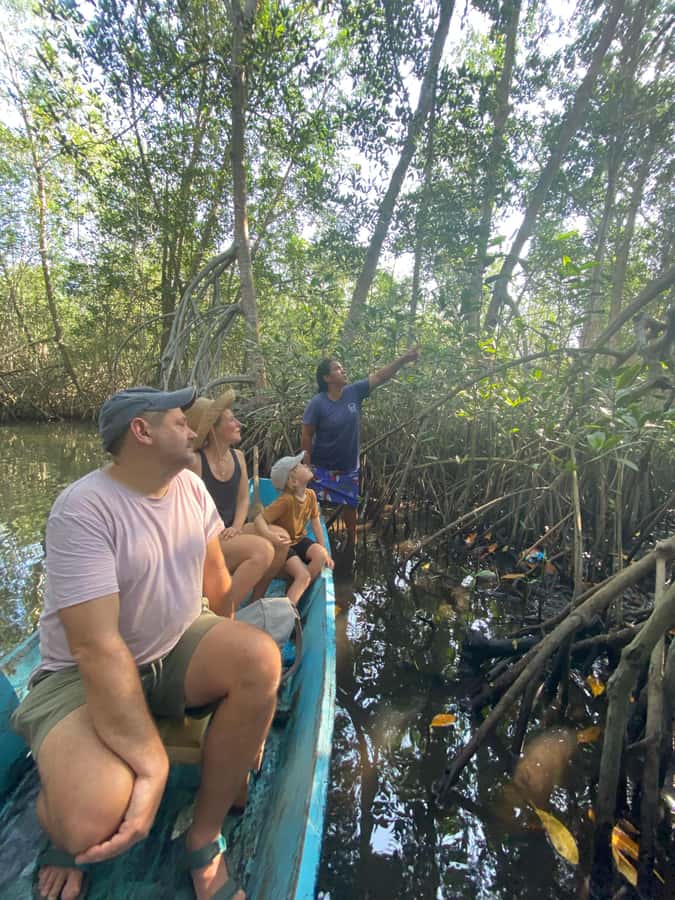El Paredón: Mangrove Boat Tour with Optional Fishing - Key Points to Know Before You Book