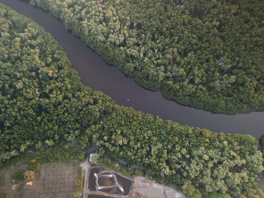 El Paredón: Mangrove Boat Tour with Optional Fishing - Entering the Narrow Mangrove Channels