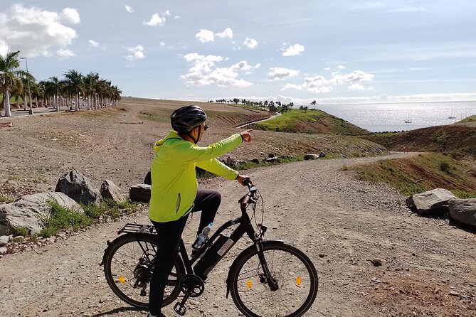 Electric Bike Panoramic South Coast Tour Optional Fishing Tapas - Tropical plants at the Botanical Park
