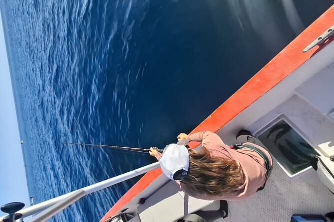 Enjoy the sport fishing paradise in Loreto, BCS - Wildlife beyond the fishing line