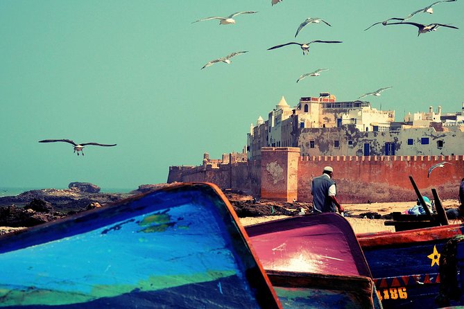Essaouira The Small Fishing Harbor - The argan oil cooperative near Essaouira