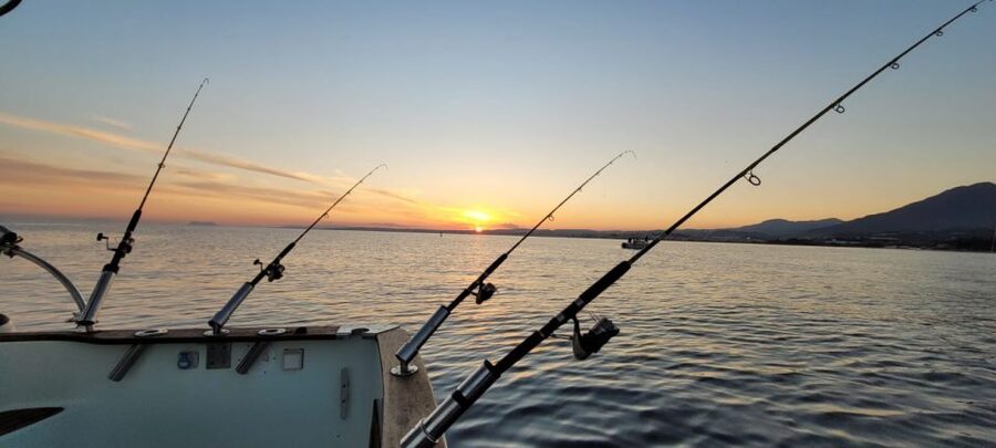 Estepona: Fishing Tour StartFisher 1060 - Key points to know before casting off