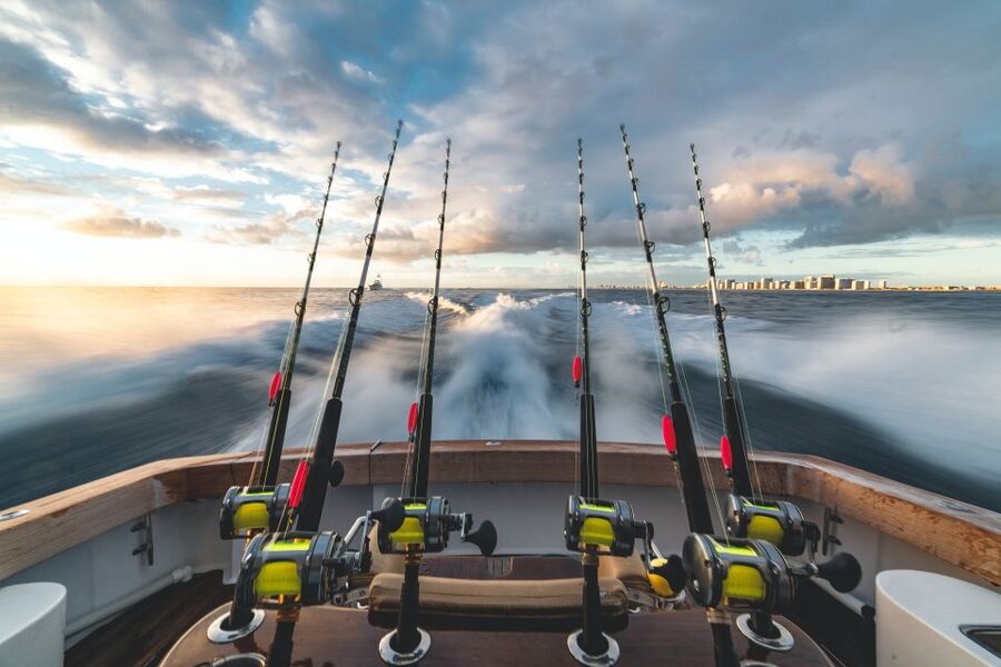 Estepona: Fishing Tour StartFisher 1060 - How the two to four hours usually work