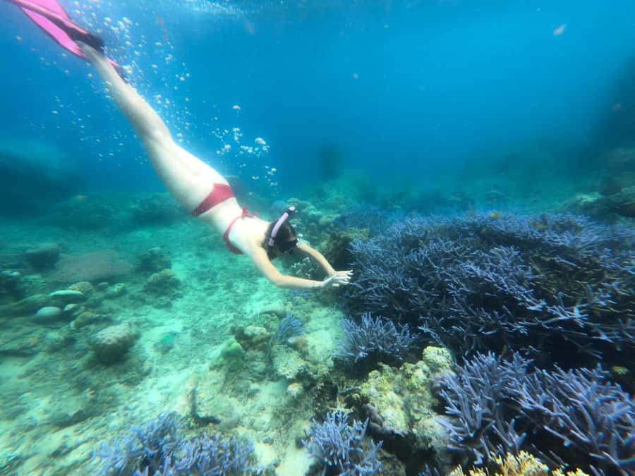 Exclusive Lombok Fishing & Snorkeling Tour Across 4 Gilis - Guides, crew, and the human side of the day