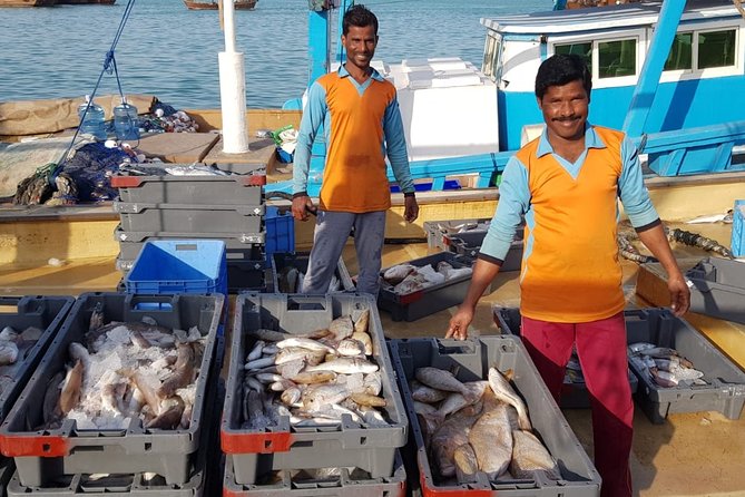 Explore North of Qatar: Visit Zubarah Fort and Fishing Town of Al Khor - What the archaeological site adds