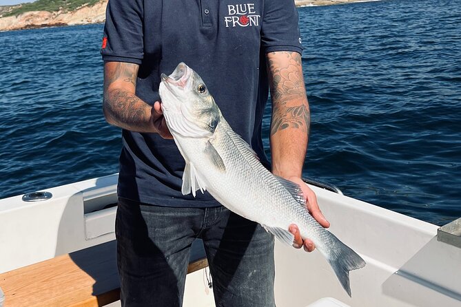 Explore Sesimbra Sports Fishing - Fishing for several species all year