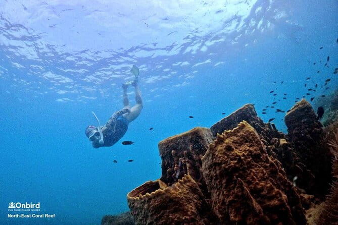 Exploring Phu Quoc Sunset and Night Squid Fishing with Dinner - Practical details that affect your choice
