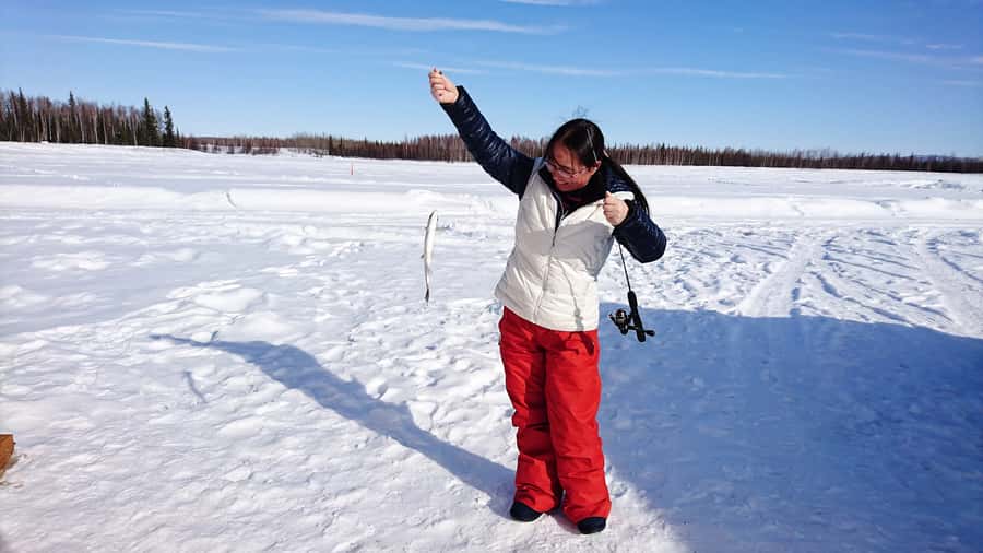 Fairbanks: Half-Day Ice Fishing Excursion - Fishing inside a warm hut
