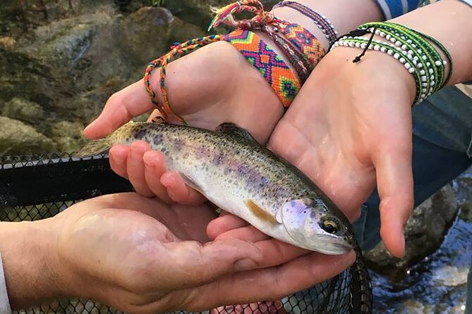 Family Fun Private Half Day Fly Fishing Adventure - Key details at a glance