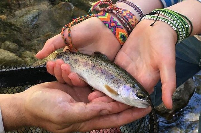 Family Fun Private Half Day Fly Fishing Adventure - Cancellation and booking details worth knowing