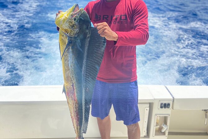 Fishing And Eating Straight From The Sea ( SAONA ISLAND AND PALMILLA) - Leaving Casa de Campo Marina For The Open Water