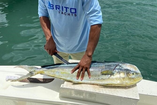 Fishing And Eating Straight From The Sea ( SAONA ISLAND AND PALMILLA) - Offshore Fishing Before Palmilla
