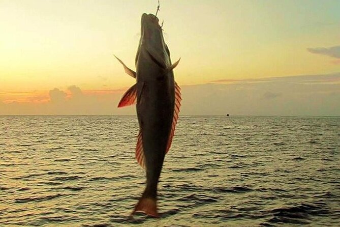 Fishing and Snorkelling by Speedboat Tour - Hurghada - A fast Red Sea outing from Hurghada