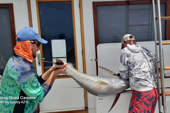 Fishing Charter 6 Hours - Trolling for Tuna, Mahi Mahi, Wahoo, and Marlin