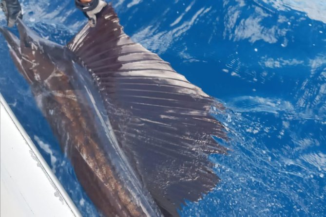 Fishing Charter 8 Hours - Trolling for Tuna, Mahi, Wahoo, and Marlin