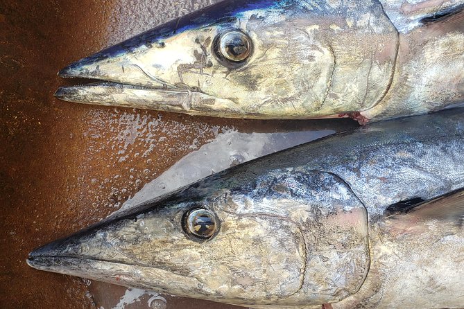 Fishing Charter 8 Hours - What the $1,600 Group Price Really Means
