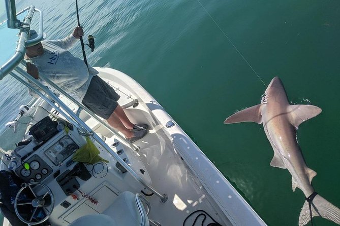 Fishing Charters - Fort Myers Beach / Naples - Choosing Between Back Bays and Offshore Water