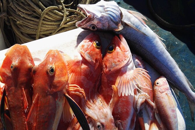 Fishing Experience Around Capri from Sorrento with Lunch Onboard - Swimming and snorkeling in clear coastal water
