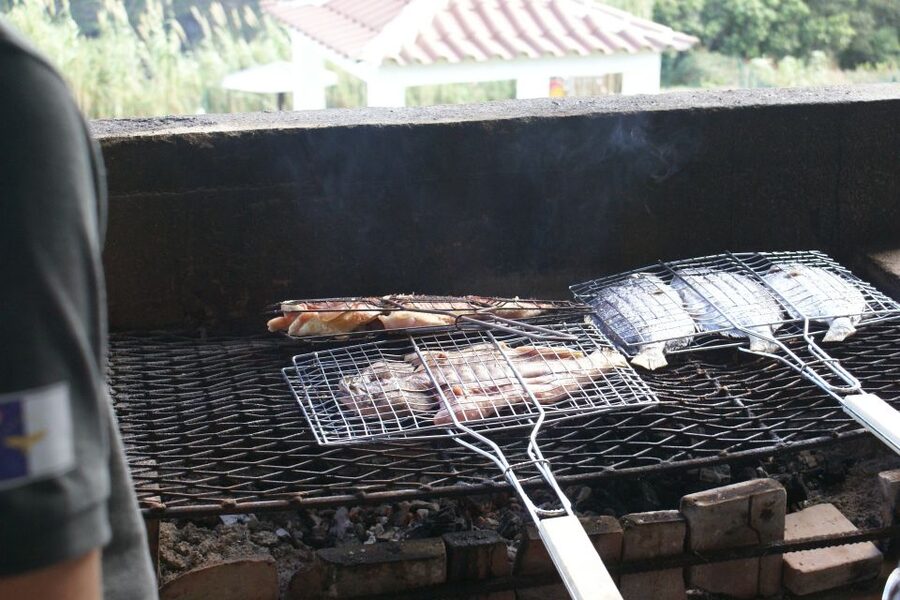 Fishing in the Azores - Key points at a glance