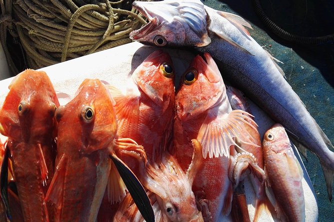 Fishing in the Bay of Sorrento and Capri - Swimming and snorkeling in Capri’s clear water