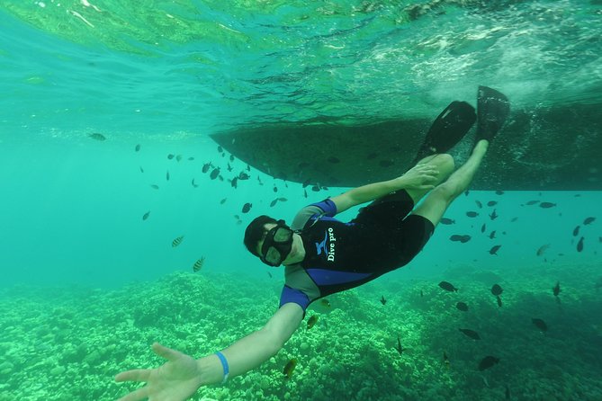 Fishing Private Speed Boat Sea Trip with Transfer - Hurghada - The snorkeling stop and Red Sea wildlife