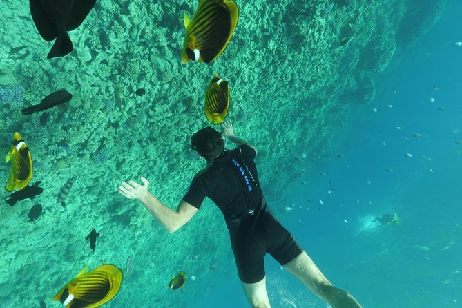 Fishing Private Speed Boat Sea Trip with Transfer - Hurghada - Is $55 good value?