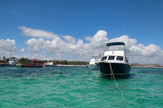 FISHING PRO CHARTERS - Boat Excursion - Divina - Four hours of fishing, not five hours of constant action