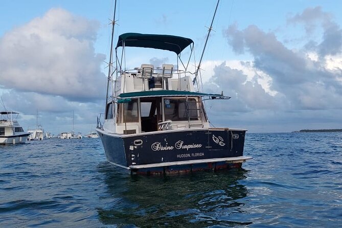 FISHING PRO CHARTERS - Boat Excursion - Divina - The real value of $550 for a private boat