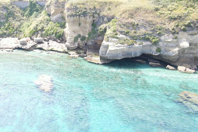 Fishing, Snorkelling & Dolphin Boat Tour - Starting at Gdf Vibo Marina Sez Navale