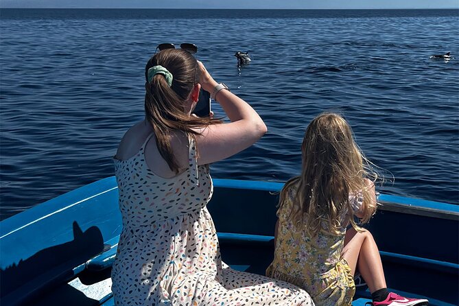 Fishing, Snorkelling & Dolphin Boat Tour - Is $78.44 a fair price?