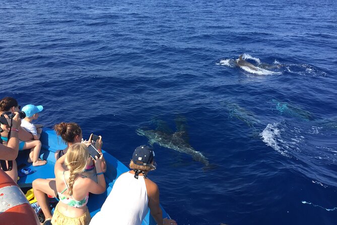 Fishing, Snorkelling & Dolphin Boat Tour - Who will enjoy this outing most?