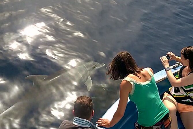 Fishing, Snorkelling & Dolphin Boat Tour - Fishing along the Calabria coast