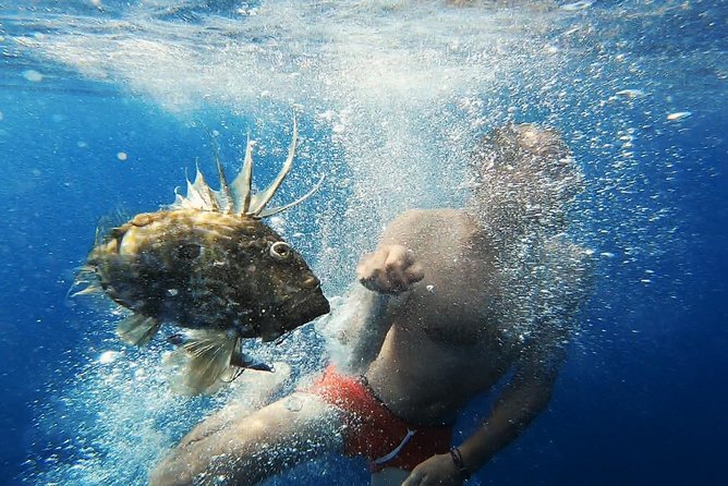 FISHING Tour to VIS and BIŠEVO Islands - Full Day Experience - Snorkeling and swimming between fishing sessions