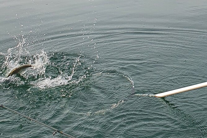Fishing Tour with a Fishing Boat at Lake Constance (Untersee) - Key points at a glance