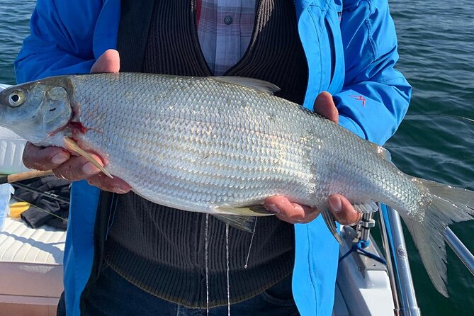 Fishing Tour with a Fishing Boat at Lake Constance (Untersee) - Why this Untersee trip feels different
