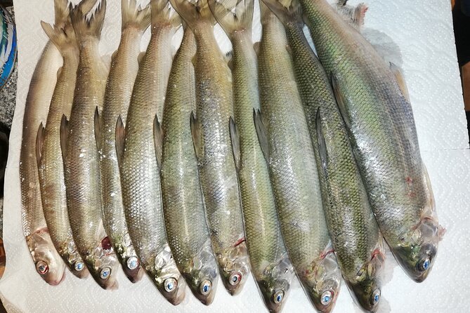 Fishing Tour with a Fishing Boat at Lake Constance (Untersee) - Timing, weather, and what to bring