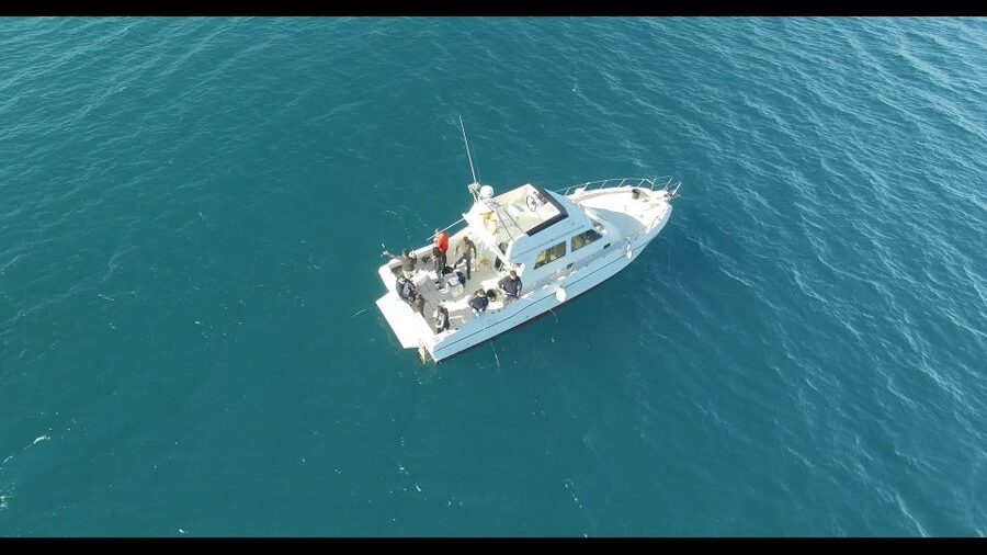 Fishing Trip all included - Leaving from Marina Salinas at 8 a.m.