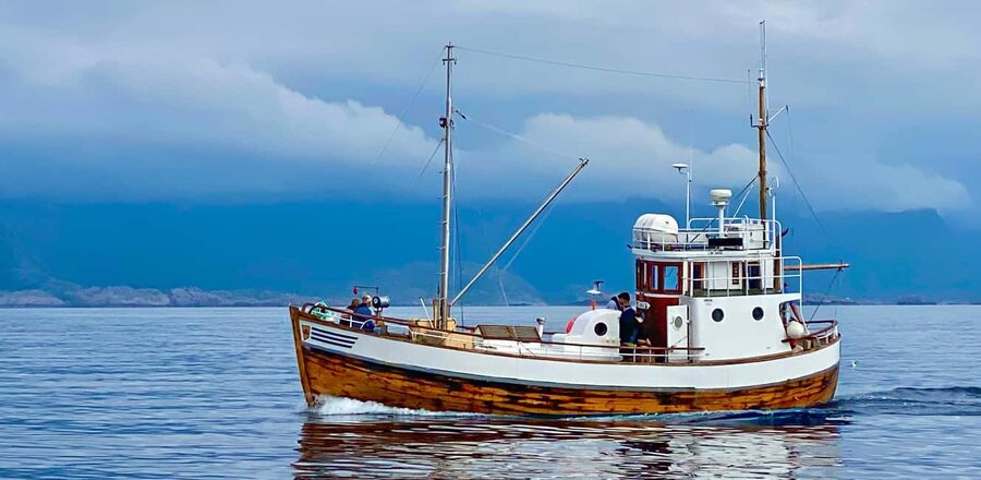 Fishing trip from Henningsvær + free (self caught) fish soup - Key points to know before booking