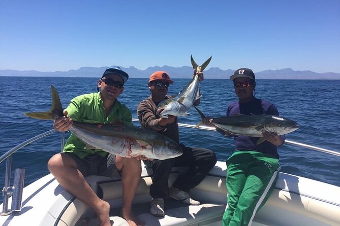 Fishing Trip in a Center Console - Summer species: dorado, marlin, and sailfish