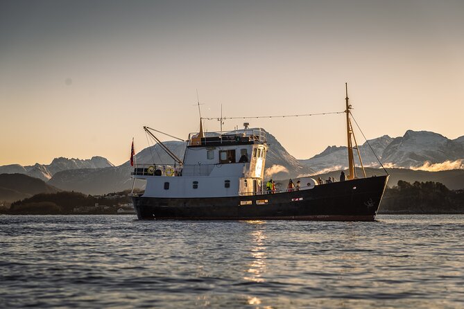 Fishing Trip in Alesund - Setting out from Ålesund’s RIB Centre