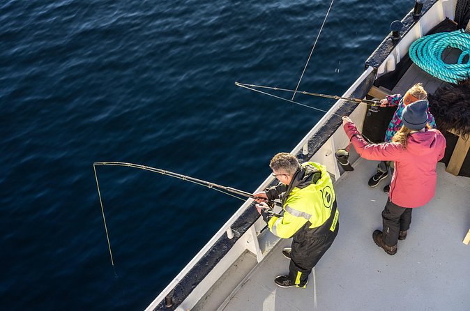 Fishing Trip in Alesund - Fishing, patience, and the thrill of a bite